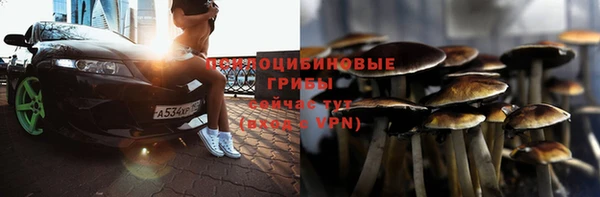 эйфоретик Баксан