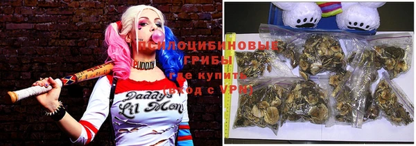 молекула духа Балахна
