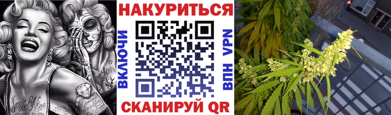 Купить  Новая Ладога  Марихуана MAZAR 